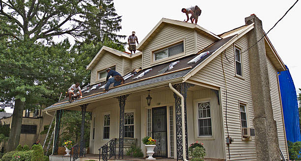 Best Storm Damage Roof Repair  in Independence, MN